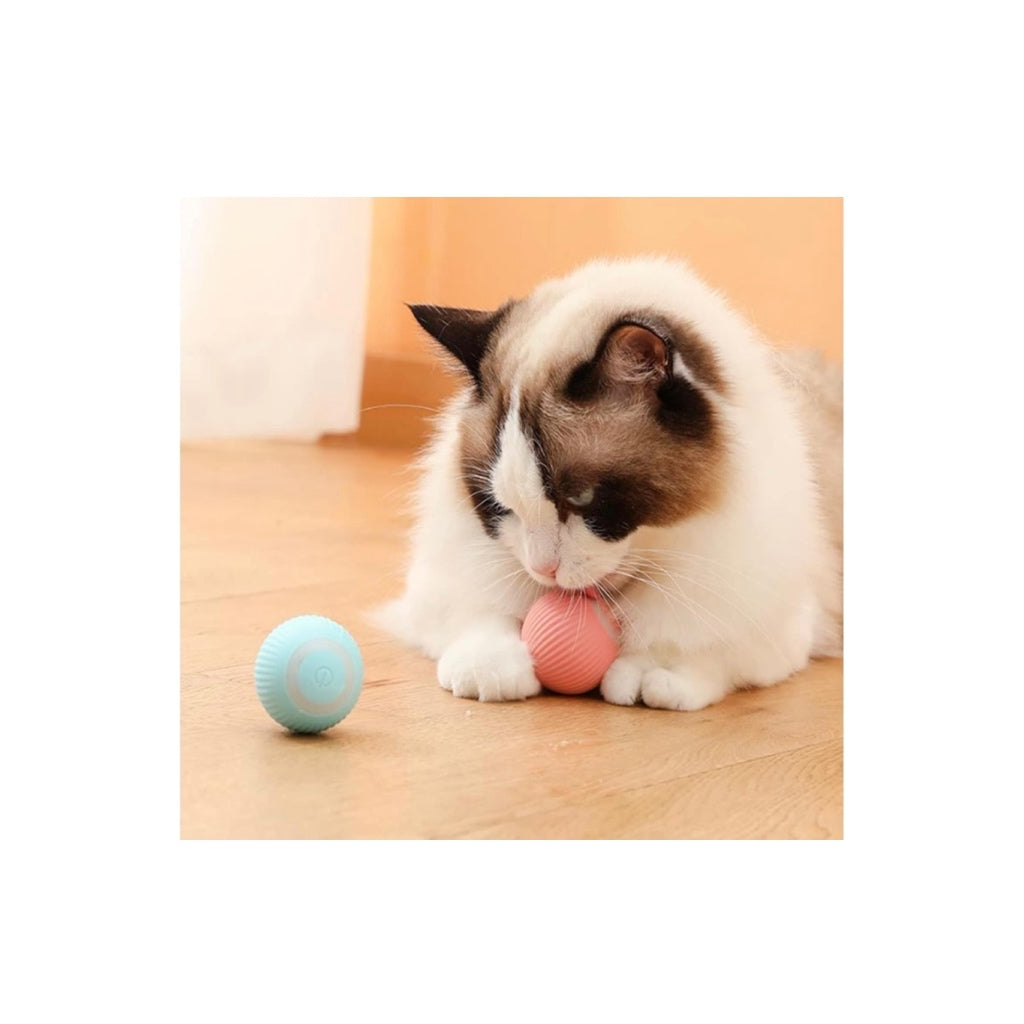 Self Moving Pet Ball