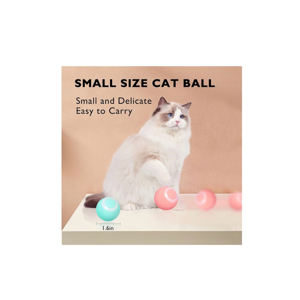 Self Moving Pet Ball