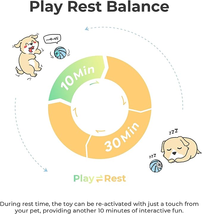 Self Moving Pet Ball