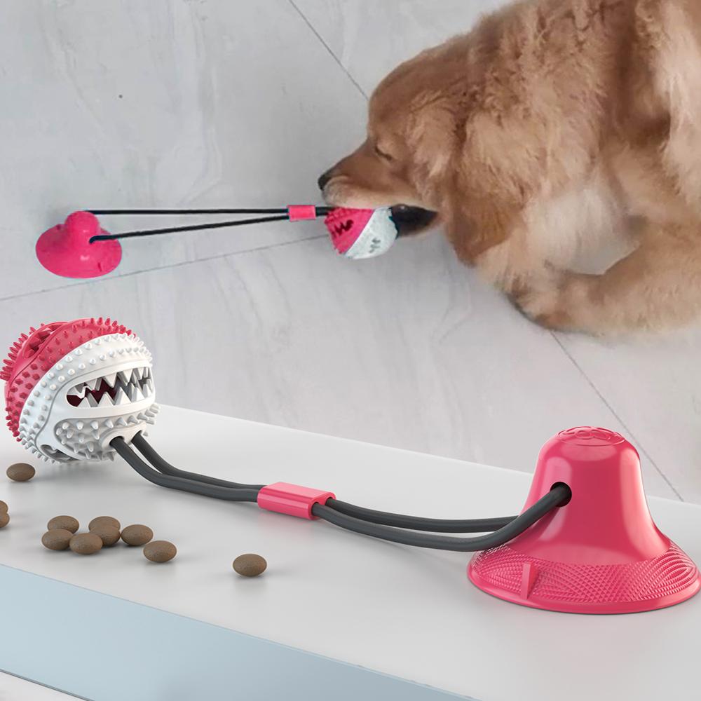 Tug of War Toy